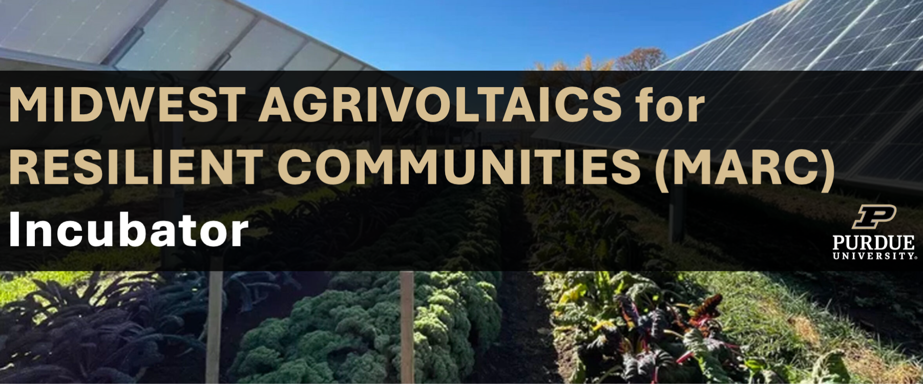 Midwest Agrivoltaics Incubator Banner